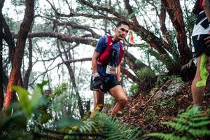 BIB: 
                            <button type="button" onclick="openModal(26296382)" class="btn btn-primary btn-sm float-right btn-popup" data-toggle="modal" data-target=".modal-high-quality">
                        <i class="fas fa-shopping-cart"></i> Add to Cart
                    </button>
                                            <button type="button" onclick="isThisMe(26296382, true)" class="btn btn-success btn-sm float-right btn-popup btn-isme hidden" data-toggle="tooltip" data-placement="bottom" title="นี่คือรูปของคุณใช่ไหม คลิกที่นี่เพื่อเอาเข้าอัลบั้ม">
                        <i class="fas fa-plus"></i> Add to album
                    </button>
                    <button type="button" onclick="isThisMe(26296382, false)" class="btn btn-warning btn-sm float-right btn-popup btn-isnotme hidden">
                        <i class="fas fa-ban"></i> Remove from album
                    </button>